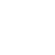 ants-icon