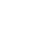 carpet-beetle-icon