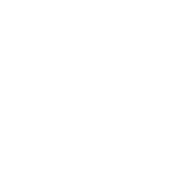 spiders-icon