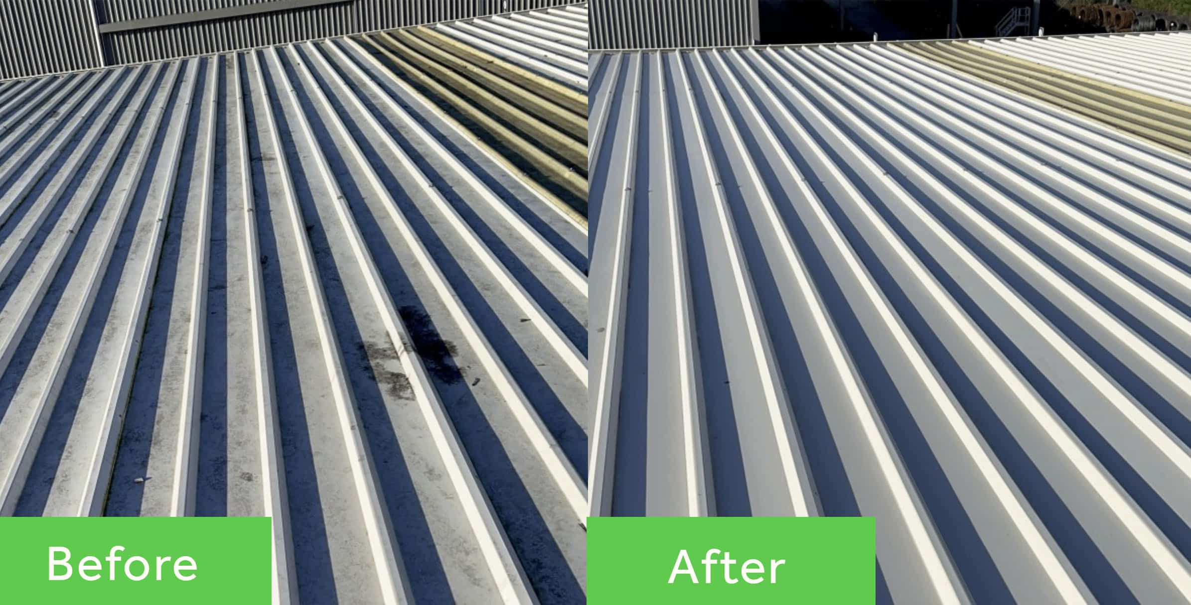 Roof Clean Before After Web