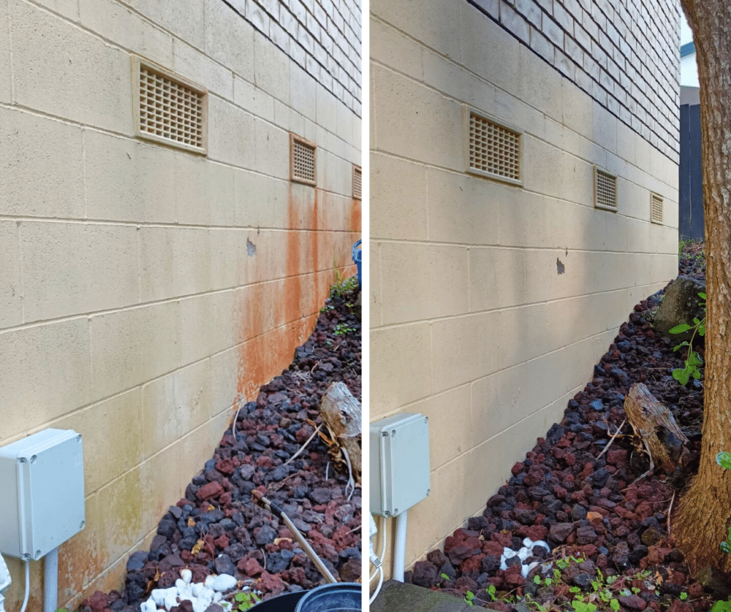 Before and After of a House Wash completed by our team in Dunedin