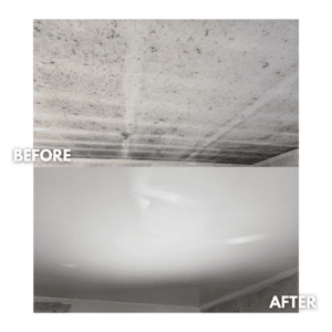 mould removal before and after