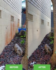 Before and After of a House Wash completed by our team at Pure Services Dunedin
